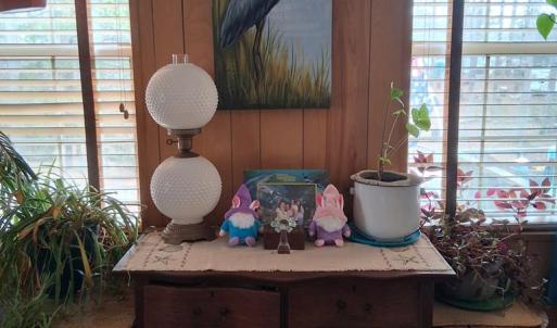 Photo #15 of 35031 ROBIN LN, HORNTOWN, VA 0.2 acres