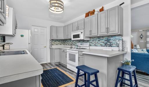 Photo #14 of 3452 CAPTAINS CORRIDOR, GREENBACKVILLE, VA 0.3 acres