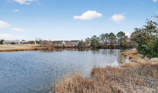 Photo #45 of 3452 CAPTAINS CORRIDOR, GREENBACKVILLE, VA 0.3 acres