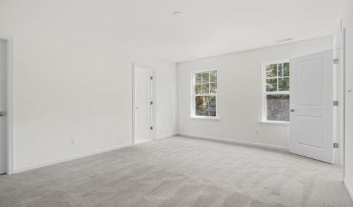 Photo #19 of 1099 AMIDSHIP DR, GREENBACKVILLE, VA 65.0 acres