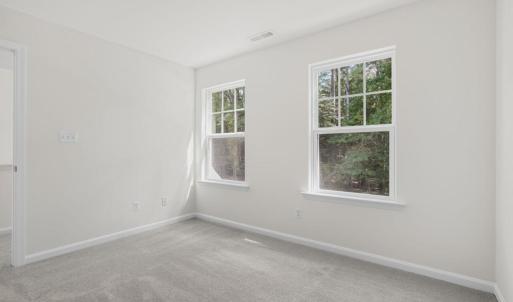 Photo #24 of 1099 AMIDSHIP DR, GREENBACKVILLE, VA 65.0 acres