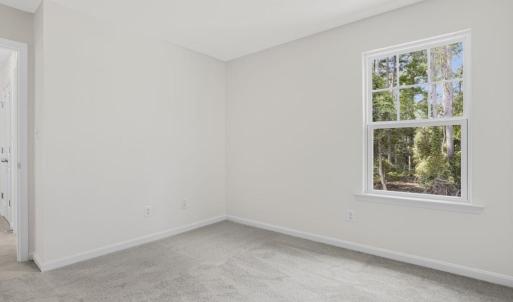 Photo #27 of 1099 AMIDSHIP DR, GREENBACKVILLE, VA 65.0 acres