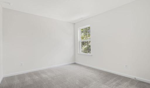 Photo #25 of 3238 AMIDSHIP DR, GREENBACKVILLE, VA 65.0 acres