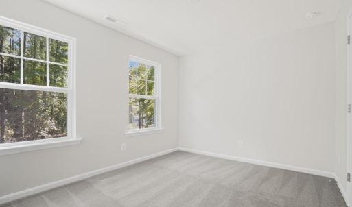 Photo #26 of 3238 AMIDSHIP DR, GREENBACKVILLE, VA 65.0 acres