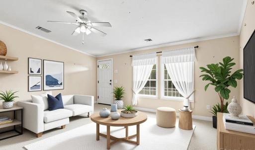 Living Room (Virtual Staged)