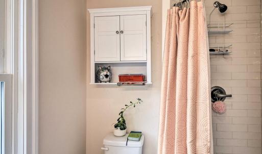 Full bath - downstairs