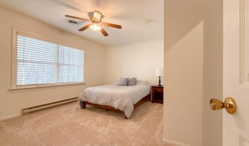 Photo #28 of 4291 PEACEFUL ACRES CT, JAMESVILLE, VA 5.8 acres