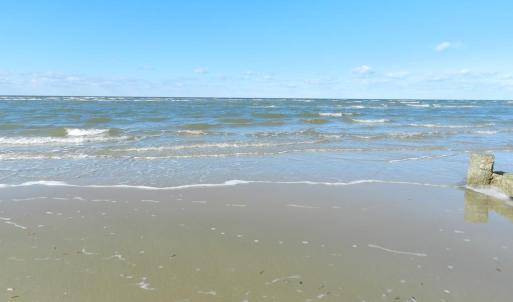 Photo #3 of 4291 PEACEFUL ACRES CT, JAMESVILLE, VA 5.8 acres