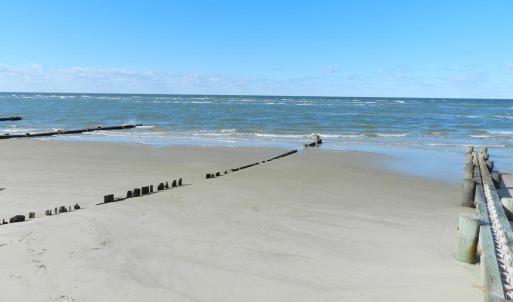 Photo #51 of 4291 PEACEFUL ACRES CT, JAMESVILLE, VA 5.8 acres