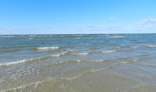 Photo #52 of 4291 PEACEFUL ACRES CT, JAMESVILLE, VA 5.8 acres