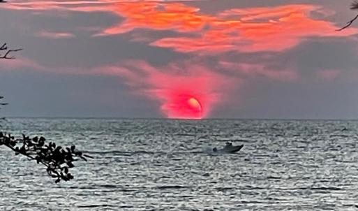 Photo #61 of 4291 PEACEFUL ACRES CT, JAMESVILLE, VA 5.8 acres