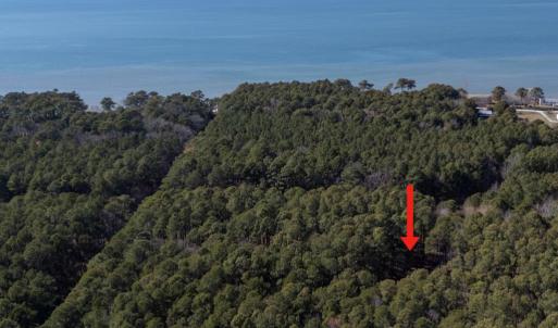 Photo #47 of 4291 PEACEFUL ACRES CT, EXMORE, VA 5.8 acres