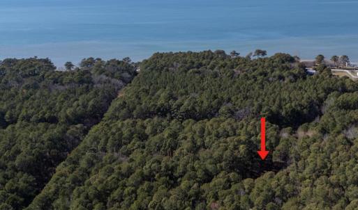 Photo #47 of 4291 PEACEFUL ACRES CT, EXMORE, VA 5.8 acres