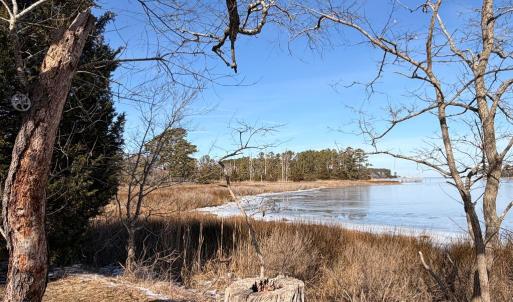 Photo #45 of 19200 POULSON LN, ONANCOCK, VA 2.8 acres