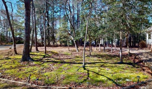 View from front porch.