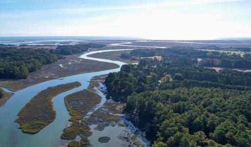 Photo #3 of 25135 MOUNT OREGON DR, ACCOMAC, VA 1.0 acres