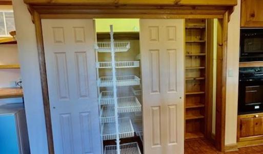 Pantry with pullout and lights
