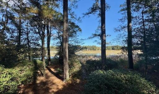 rear yard and creek view