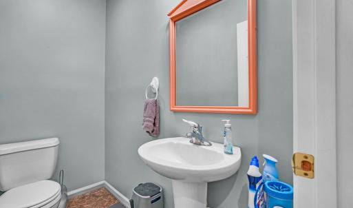 Photo #20 of 37323 DAVEY JONES BLVD, GREENBACKVILLE, VA 9.0 acres