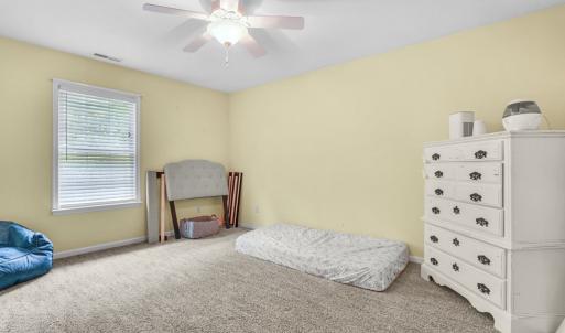 Photo #31 of 37323 DAVEY JONES BLVD, GREENBACKVILLE, VA 9.0 acres