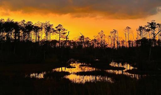 Sunset actoss the marsh