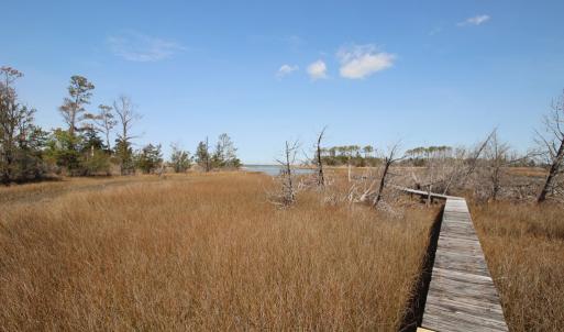 Walkway to the dock