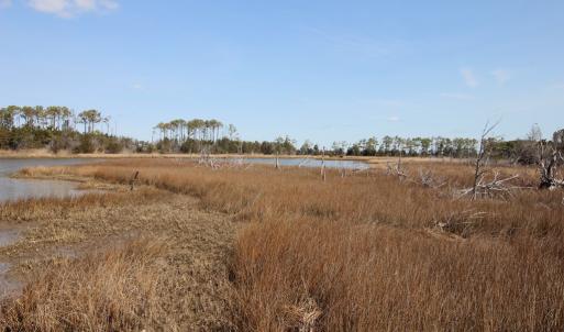 Photo #34 of 14457 BROADWAY RD, ONANCOCK, VA 4.0 acres