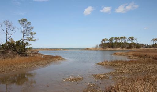 The creek looking towards the Bay