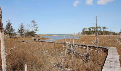 The dock and marsh