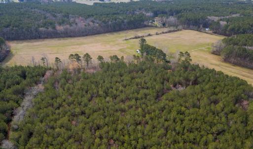 Photo #27 of 16481 SAINT THOMAS ROAD, BLOXOM, VA 53.0 acres
