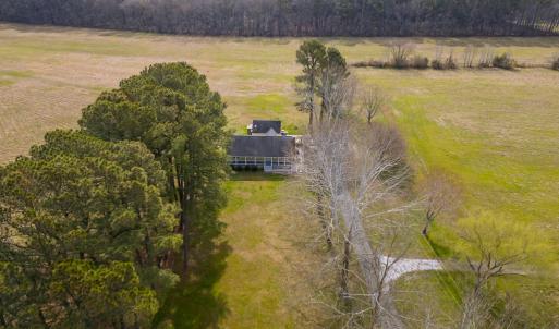 Photo #6 of 16481 SAINT THOMAS ROAD, BLOXOM, VA 53.0 acres