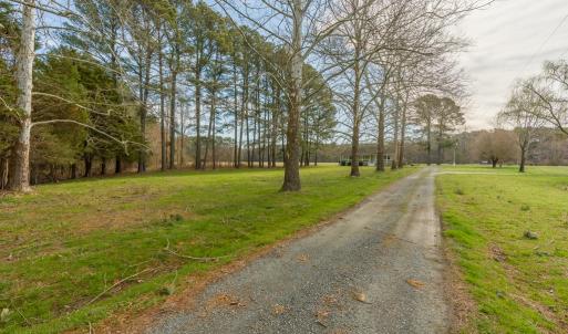 Photo #10 of 16481 SAINT THOMAS ROAD, BLOXOM, VA 53.0 acres