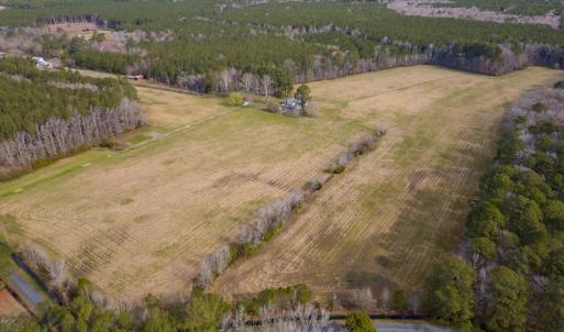 Photo #32 of 16481 SAINT THOMAS ROAD, BLOXOM, VA 53.0 acres