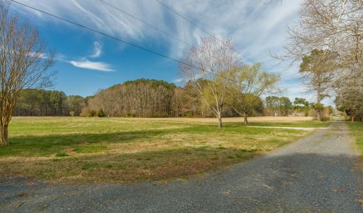 Photo #12 of 16481 SAINT THOMAS ROAD, BLOXOM, VA 53.0 acres