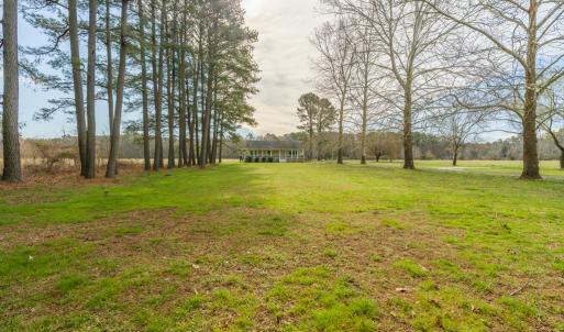 Photo #13 of 16481 SAINT THOMAS ROAD, BLOXOM, VA 53.0 acres