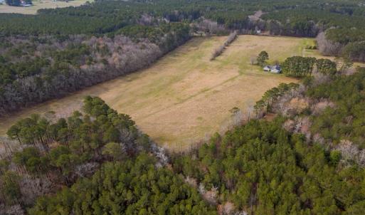 Photo #26 of 16481 SAINT THOMAS ROAD, BLOXOM, VA 53.0 acres