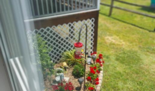 Photo #11 of 8238 SEASHELL DR, CHINCOTEAGUE, VA 50.0 acres