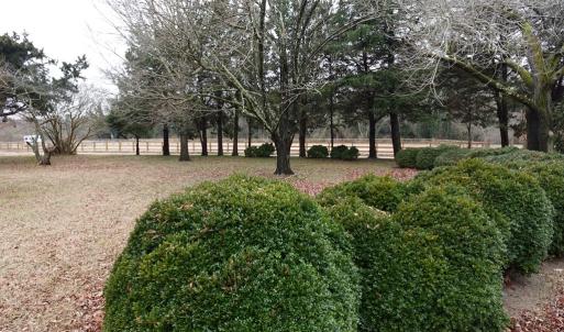 Photo #41 of 7337 BAYSIDE RD, FRANKTOWN, VA 9.5 acres