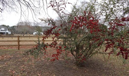 Photo #68 of 7337 BAYSIDE RD, FRANKTOWN, VA 9.5 acres