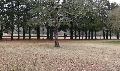 Photo #72 of 7337 BAYSIDE RD, FRANKTOWN, VA 9.5 acres