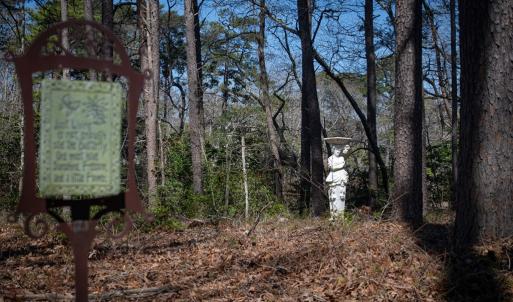 Photo #19 of 4460 MASDEN GUT LANE, MACHIPONGO, VA 6.2 acres