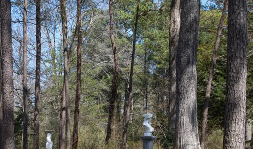 Photo #20 of 4460 MASDEN GUT LANE, MACHIPONGO, VA 6.2 acres