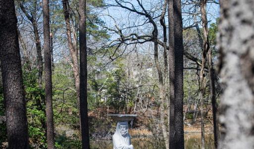 Photo #23 of 4460 MASDEN GUT LANE, MACHIPONGO, VA 6.2 acres