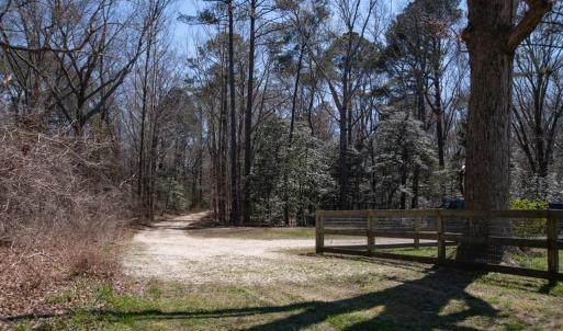 Photo #25 of 4460 MASDEN GUT LANE, MACHIPONGO, VA 6.2 acres