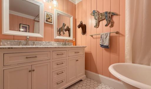 Photo #68 of 4460 MASDEN GUT LANE, MACHIPONGO, VA 6.2 acres