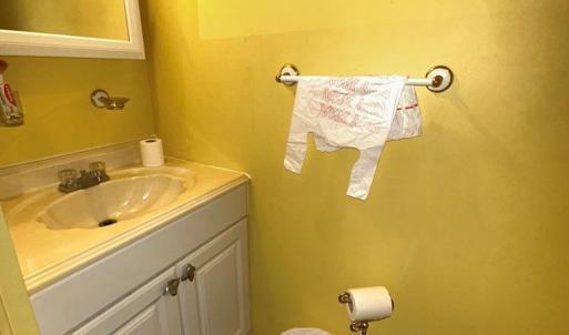 Photo #10 of 8200 SEA BREEZE DR, CHINCOTEAGUE, VA 50.0 acres
