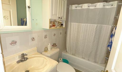 Photo #7 of 8200 SEA BREEZE DR, CHINCOTEAGUE, VA 50.0 acres