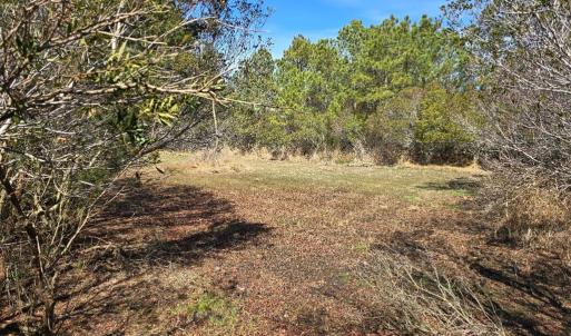 Photo #17 of 29496 Killmon Lane, HACKSNECK, VA 1.5 acres