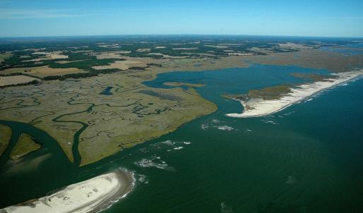 Photo #3 of 19006 NORTH DR, PARKSLEY, VA 3.1 acres