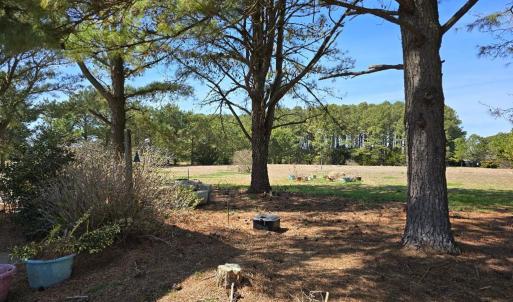 Photo #7 of 19006 NORTH DR, PARKSLEY, VA 3.1 acres